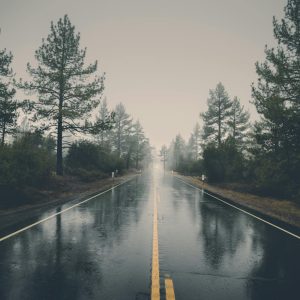 A serene rain-soaked road cutting through a misty forest, creating a mystical atmosphere.